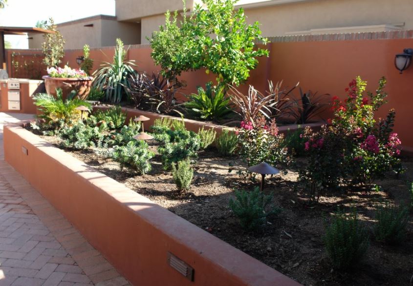 garden design in arizona