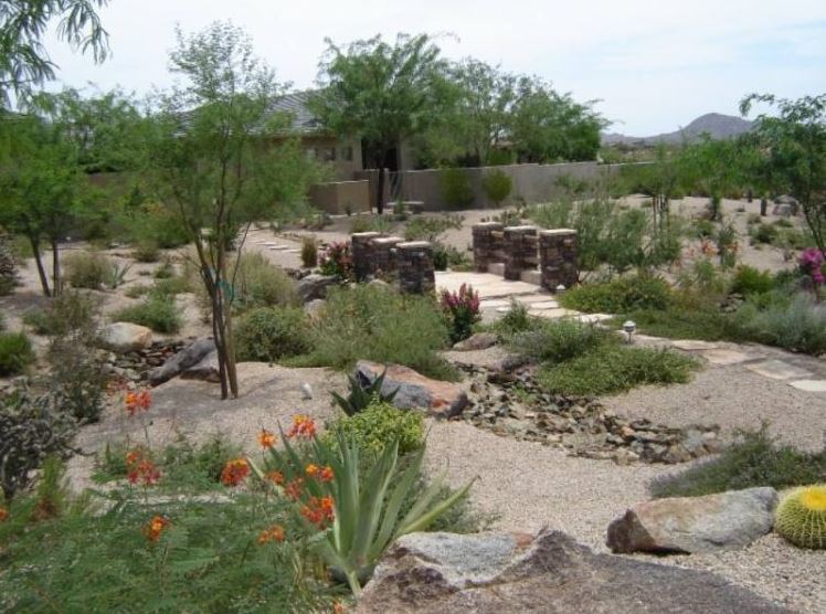 Arizona Landscaping Company, Landscape Maintenance Mesa Az